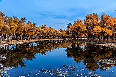 《全面战争: 法老》现已发售！ 